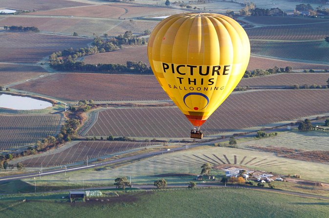 Yarra Valley sunrise balloon flight only - Timing, weather, and the day’s biggest variable